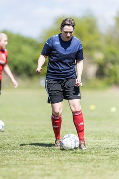 Bild 29 - F SG NieBar - IF Stjernen Flensborg : Ergebnis: 2:0